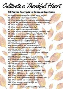 cultivate-a-thankful-heart-like-minded-musings
