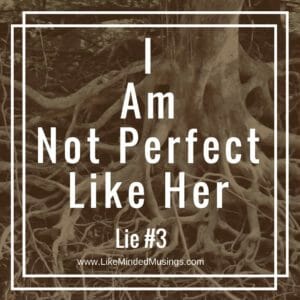 Destroy-the-Roots-of-Shame-Based-Living-The-Lie-of-Perfection