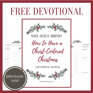 Why Jesus' Birth Free Devotional Like Minded Musings
