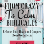 From Crazy to Calm Biblically Like Minded Musings 2