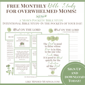 How to Wait on God Intentional Bible Study-In the pockets of your day!