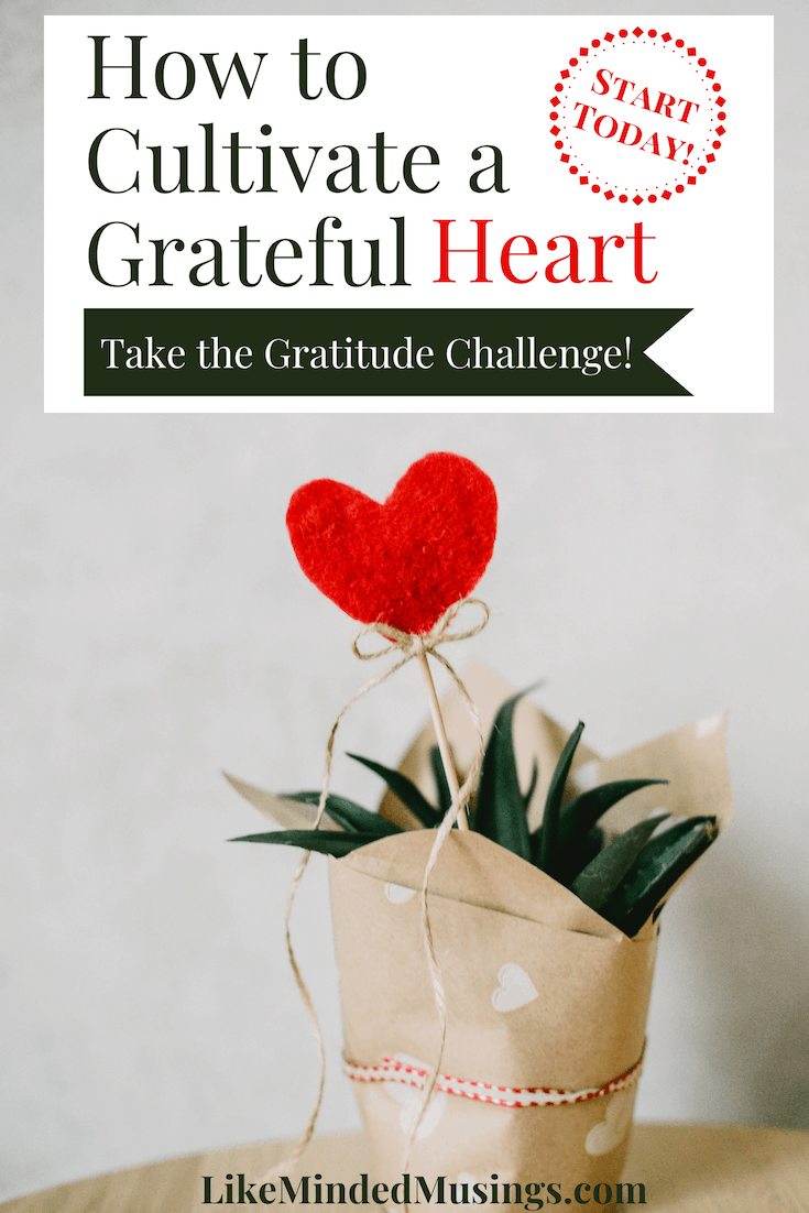 How to Cultivate a Grateful Heart Gratitude Challenge - Like Minded ...