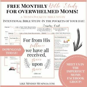Fresh Grace for a New Beginning Bible Study Like MInded Musings
