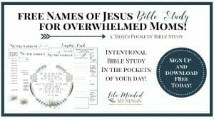 Bible Study Names of Jesus Like Minded Musings