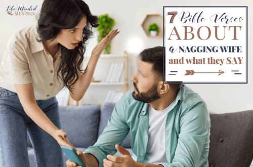 7 Bible Verses About a Nagging Wife and What They Say